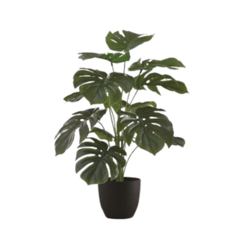 Image Artificial Plants and Planters